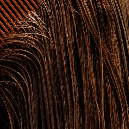 30 Min Spa+Blowdry Membership at Eleven Twenty Beauty Studio in Girard, OH